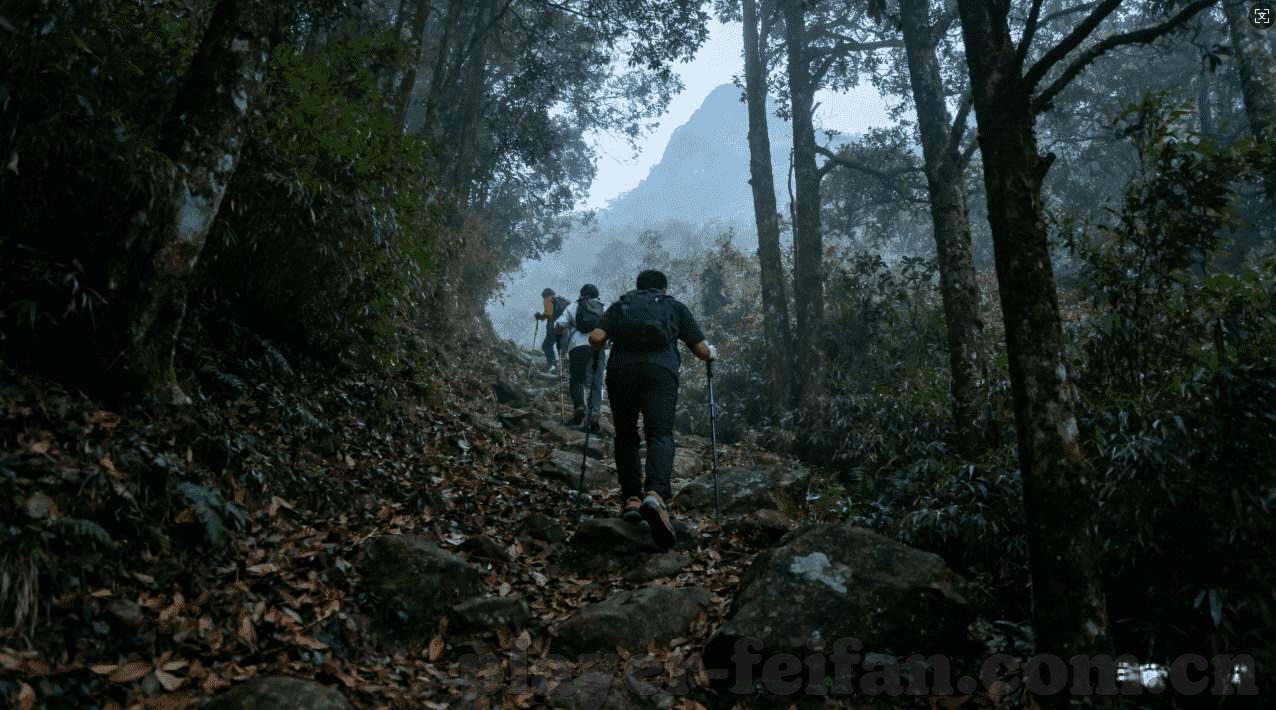 一分彩客户端-一分彩客户端，解锁娱乐新体验，轻触即来的便捷乐土